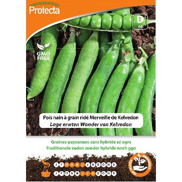 copy of Protecta - Graines...