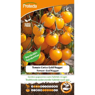 Protecta - Graines paysannes Tomate Cerise Gold Nugget