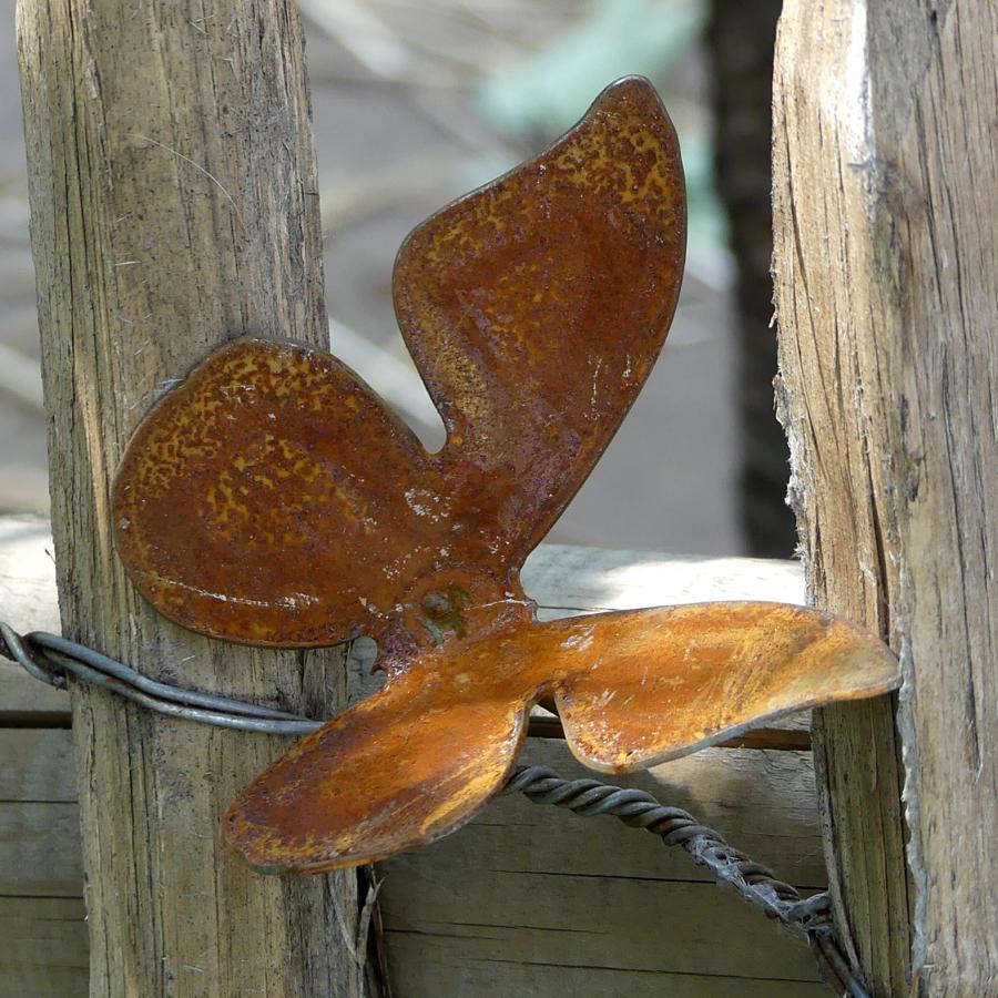 Petit papillon avec pique en fer rouillé