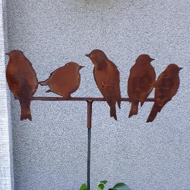 Famille de 5 oiseaux à piquer en fer rouillé