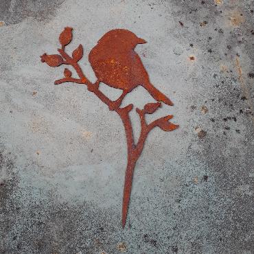Oiseau merle sur branche de rosier avec pique en fer rouillé