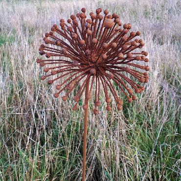 Fleur d'agapanthe diamètre 18cm à piquer en fer rouillé