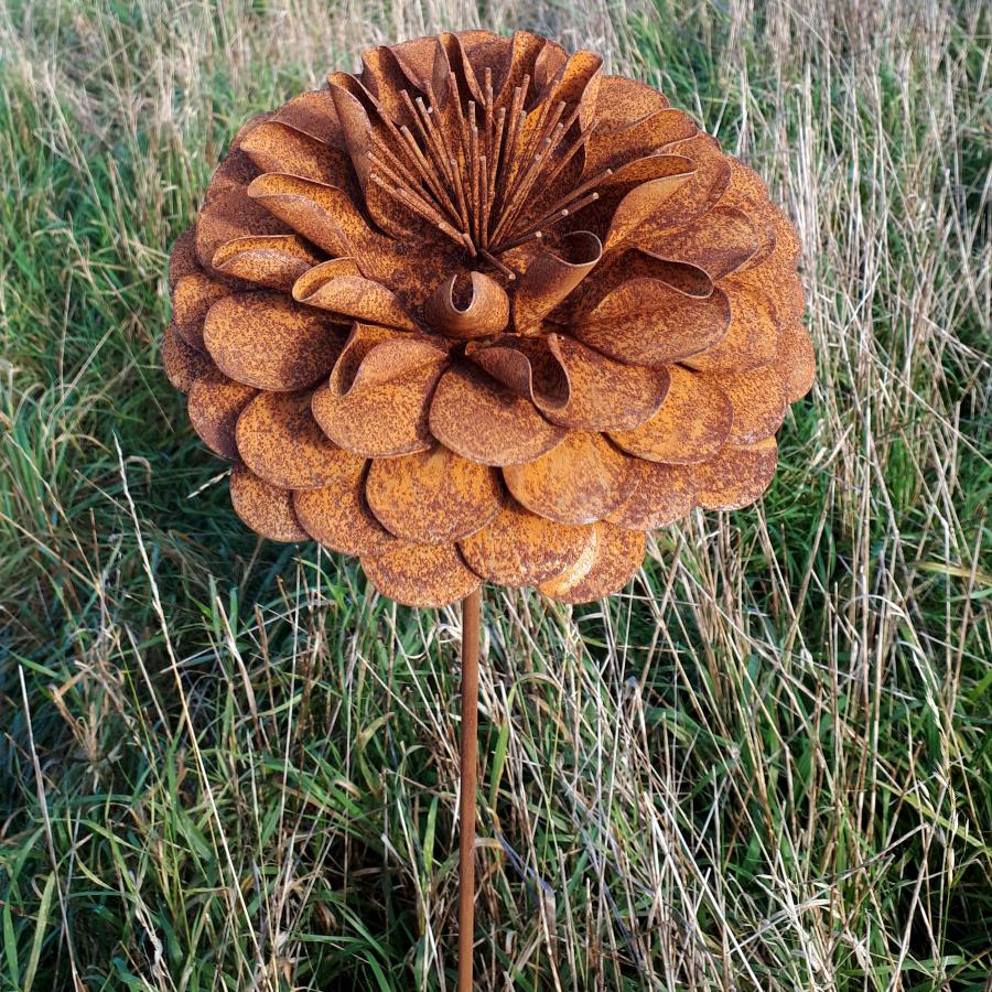 Fleur de dalhia diamètre 22cm à piquer en fer rouillé