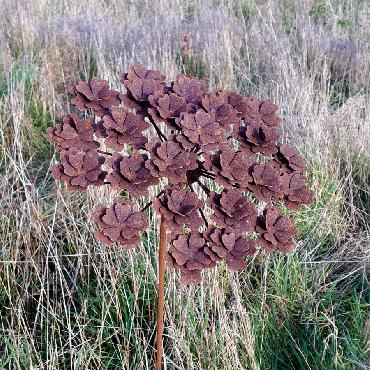 Petite fleur d'hortensia à inflorescences plates diamètre 28cm à piquer en fer rouillé