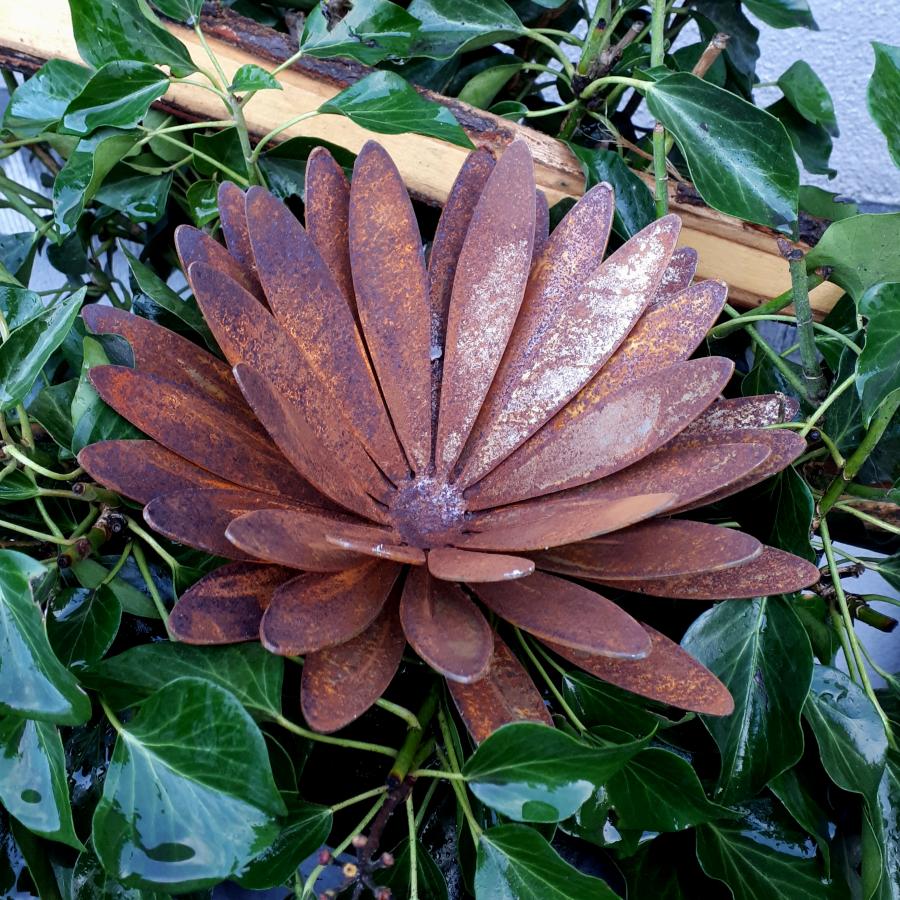 Fleur marguerite à piquer en fer rouillé