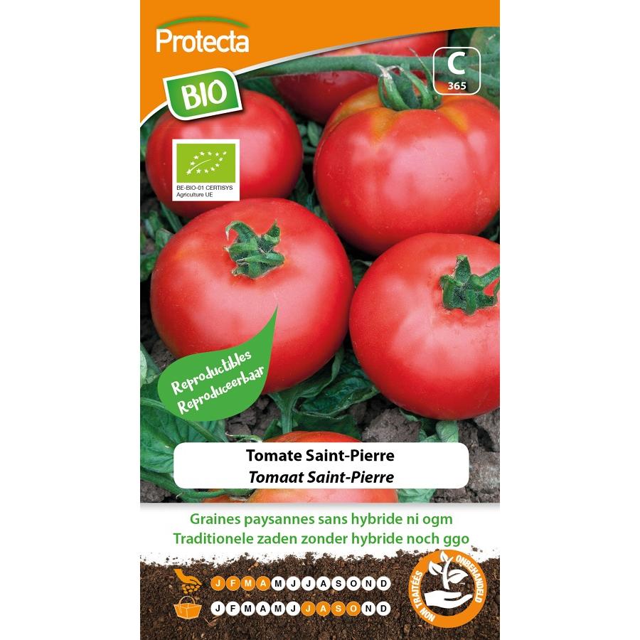 Protecta - Graines paysannes Tomate Saint-Pierre BIO
