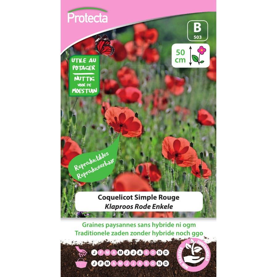 Protecta - Graines paysannes Coquelicot Simple Rouge