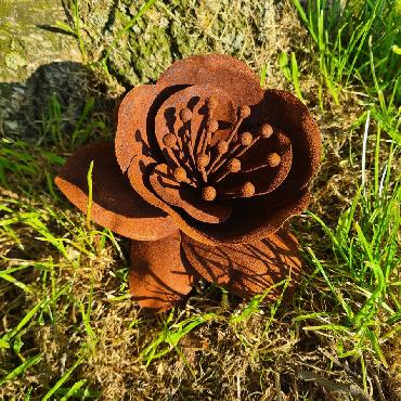 Fleur ancolie D19xH146cm à piquer en fer rouillé