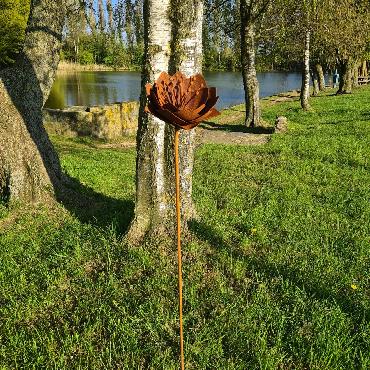 Fleur astrantia D20xH147cm à piquer en fer rouillé