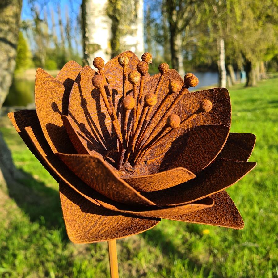 Fleur astrantia D20xH147cm à piquer en fer rouillé