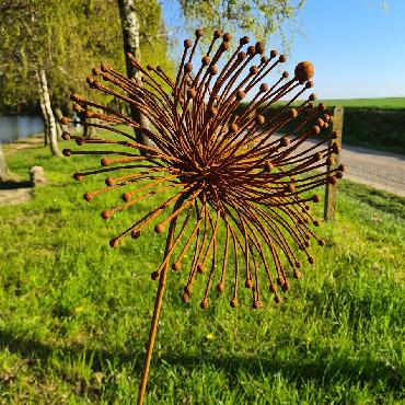 Grande fleur allium spider 3D D35xH140cm à piquer en fer rouillé