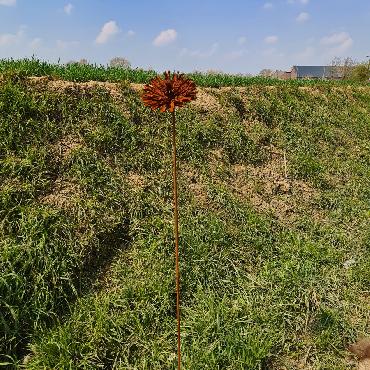 Fleur aster 3D D15xH147cm à piquer en fer rouillé