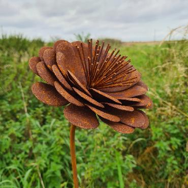 Fleur dahlia moyen 3D D19xH143cm à piquer en fer rouillé
