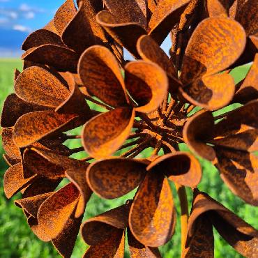 Fleur grande  hortensia macrophylla 3D D22xH130cm à piquer en fer rouillé