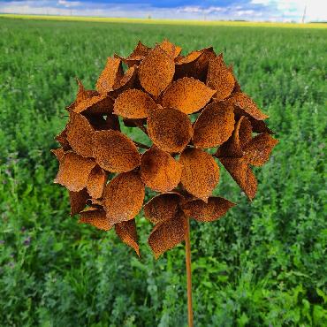 Fleur petite hortensia macrophylla 3D D26xH130cm à piquer en fer rouillé
