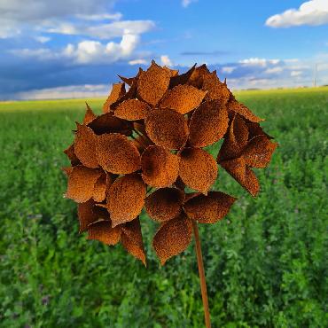 Fleur petite hortensia macrophylla 3D D26xH130cm à piquer en fer rouillé