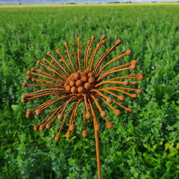 Fleur agapanthe 3D D22xH140cm à piquer en fer rouillé
