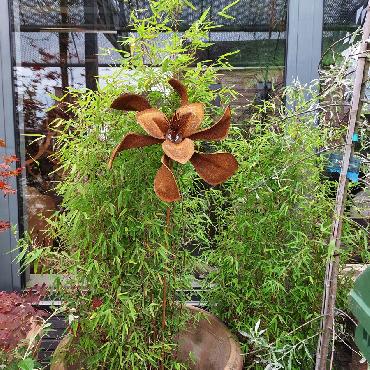 Eolienne fleur pavot simple hélice D35xH160cm à piquer en fer rouillé