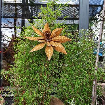 Eolienne fleur clématite simple hélice D37xH160cm à piquer en fer rouillé