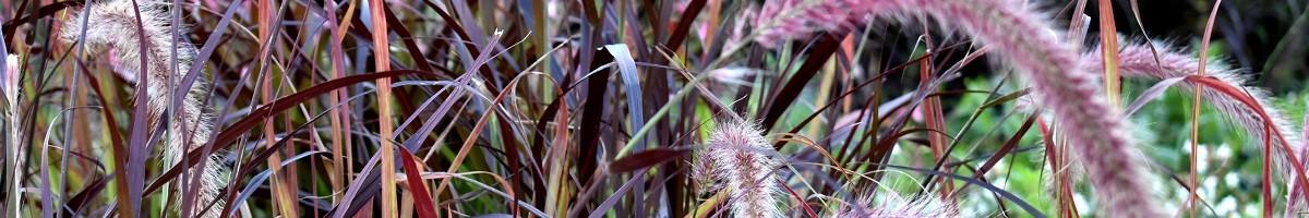 Petits espaces