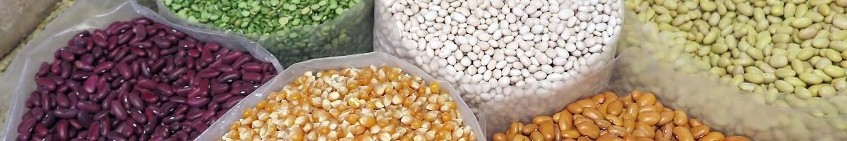 Graines paysannes : variétés de semences traditionnelles sans hybride ni OGM et graines bio