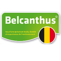 Belcanthus